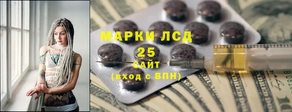 спайс Няндома