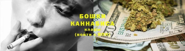 ГАЛЛЮЦИНОГЕННЫЕ ГРИБЫ Абаза