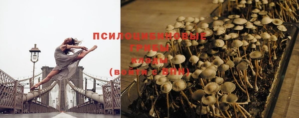 ГАЛЛЮЦИНОГЕННЫЕ ГРИБЫ Абдулино