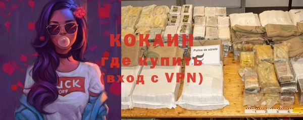 стаф Алзамай