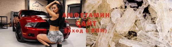 ГАЛЛЮЦИНОГЕННЫЕ ГРИБЫ Абаза