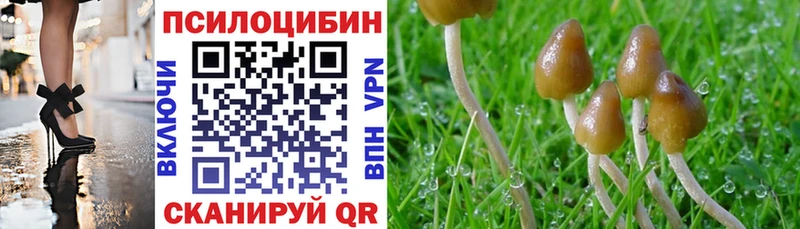 купить  цена  Арсеньев  Псилоцибиновые грибы Cubensis 